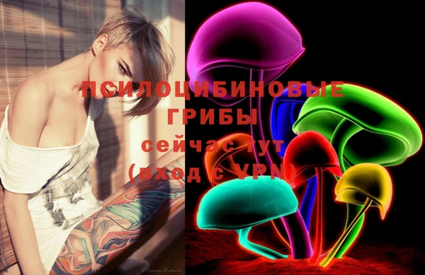 шишки Абдулино