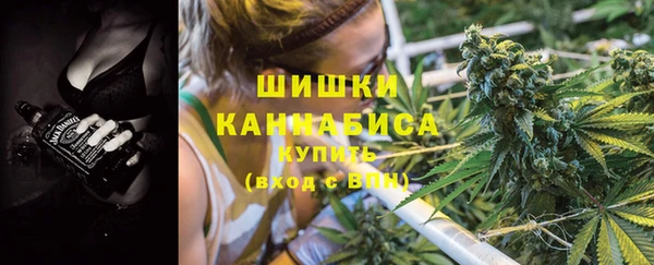 ГАЛЛЮЦИНОГЕННЫЕ ГРИБЫ Переславль-Залесский