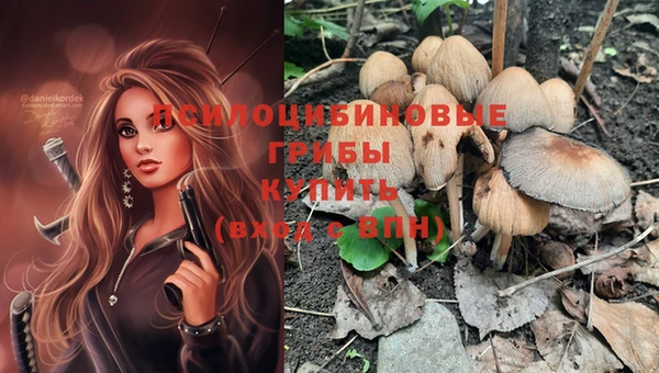шишки Абдулино