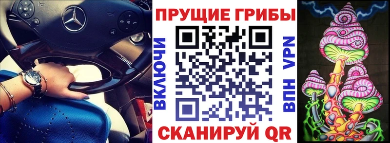 mega ссылка  Ладушкин  Галлюциногенные грибы мухоморы  хочу наркоту 